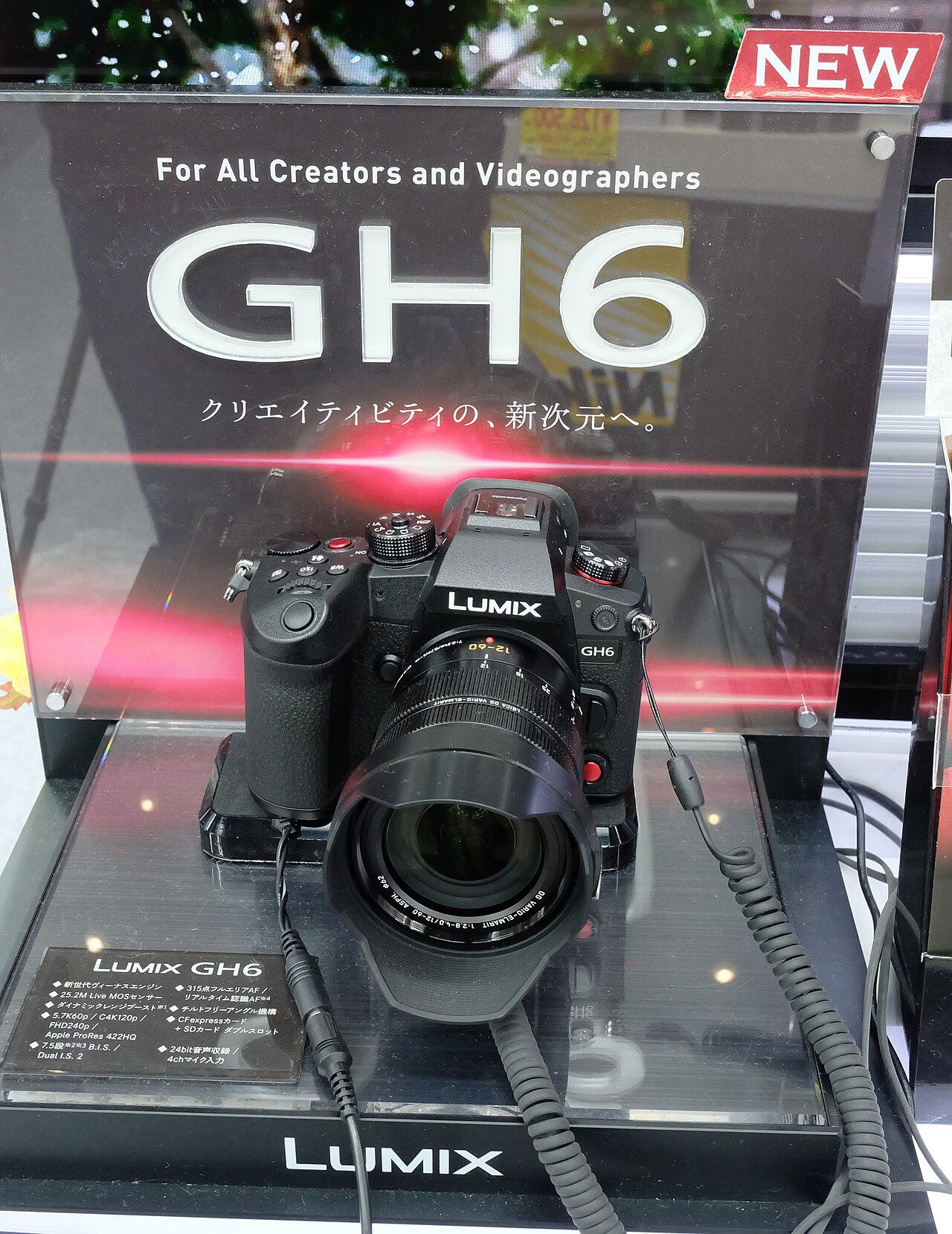 Panasonic Lumix GH6